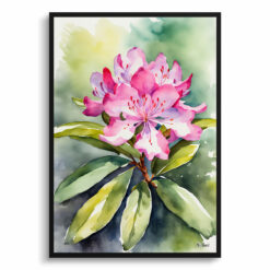 Rhododendron Watercolour Botanical Art Print -  Azalea Framed Plant Wall Art