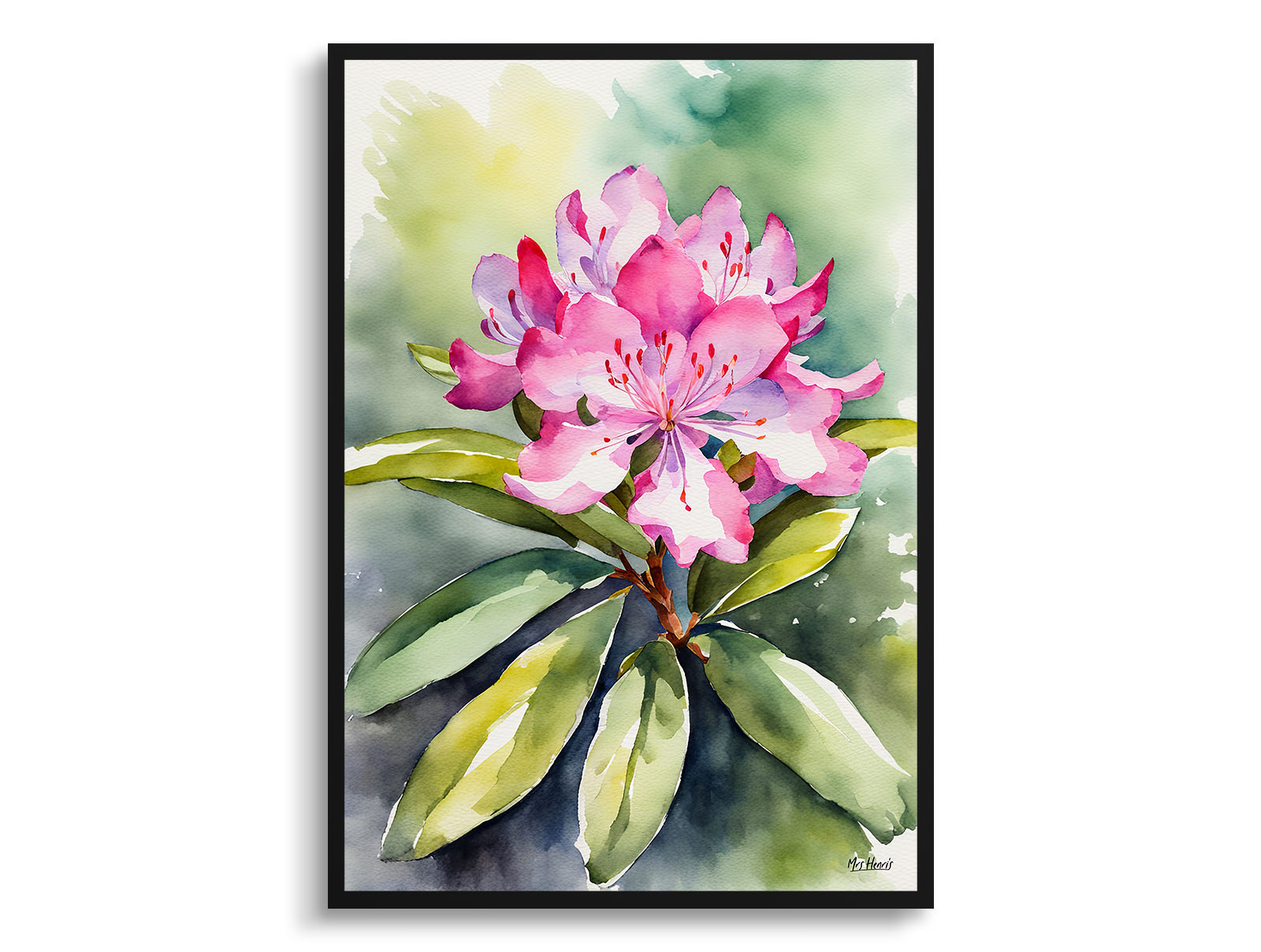 Rhododendron Watercolour Botanical Art Print - Azalea Framed Plant Wall Art 3 Rhododendron Watercolour Botanical Art Print - Azalea Framed Plant Wall Art
