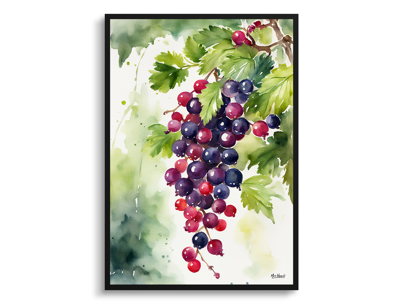 Ribes Nigrum Cassissima Noiroma Watercolour Botanical Art Print - Blackcurrant Framed Plant Wall Art 3 Ribes Nigrum Cassissima Noiroma Watercolour Botanical Art Print - Blackcurrant Framed Plant Wall Art