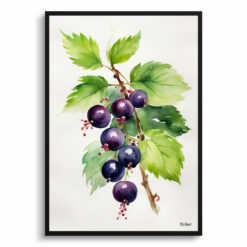 Ribes Nigrum Cassissima Noiroma Minimalist Watercolour Botanical Art Print - Blackcurrant Framed Plant Wall Art