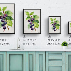 watercolour botanical print flowers ribes nigrum cassissima noiroma minimalist print size comparison