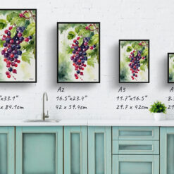 Ribes Nigrum Cassissima Noiroma Watercolour Botanical Art Print - Blackcurrant Framed Plant Wall Art 9 watercolour botanical print flowers ribes nigrum cassissima noiroma print size comparison