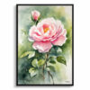 Rosa Madame Alfred Carriére Watercolour Botanical Art Print - Rose Framed Plant Wall Art 1 watercolour botanical print flowers rosa madame alfred carriere front view