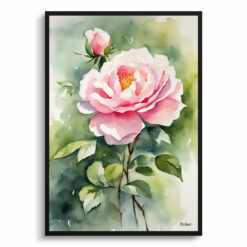 Rosa Madame Alfred Carriére Watercolour Botanical Art Print - Rose Framed Plant Wall Art