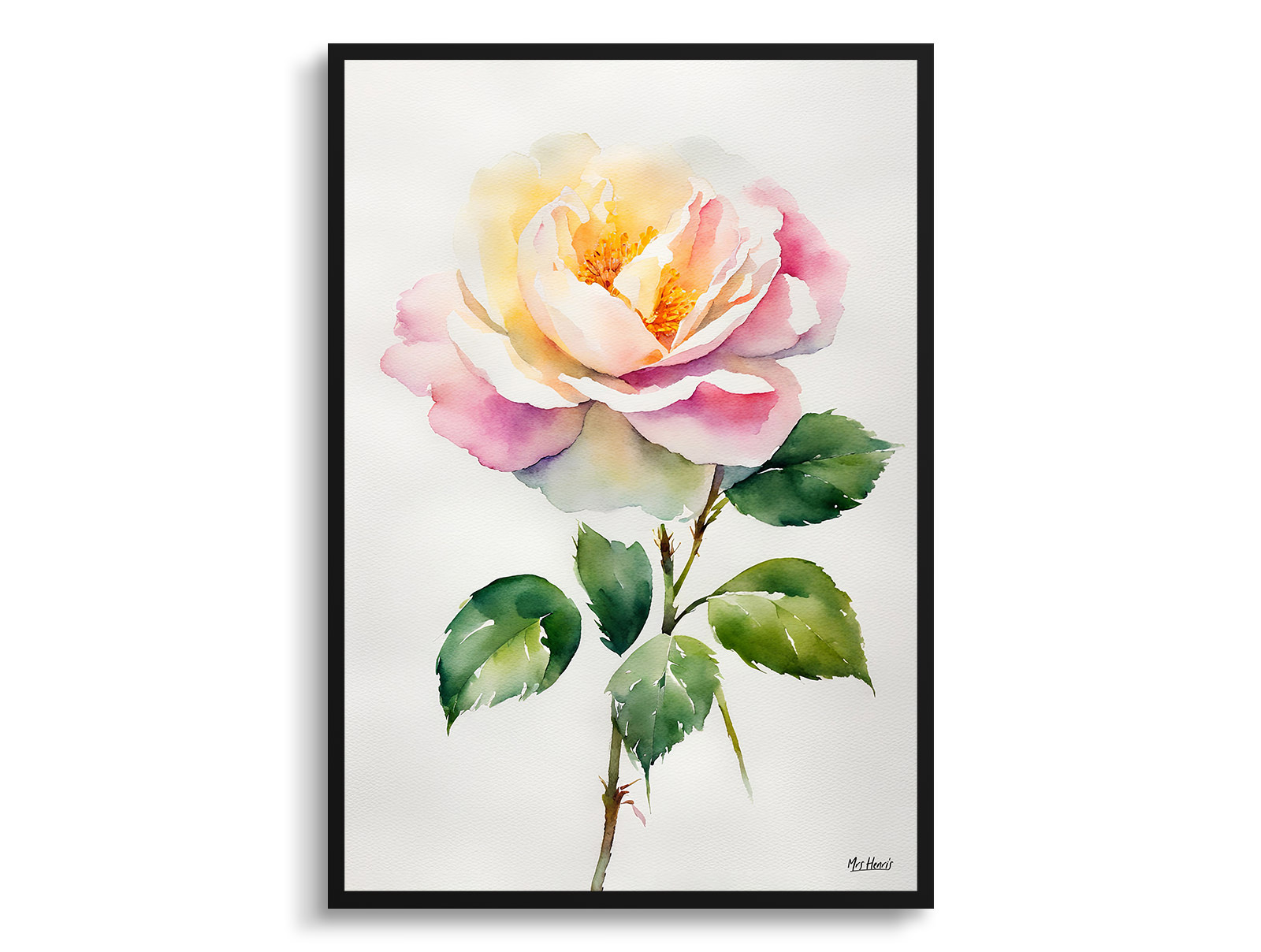 Rosa Madame Alfred Carriére Minimalist Watercolour Botanical Art Print - Rose Framed Plant Wall Art 3 Rosa Madame Alfred Carriére Minimalist Watercolour Botanical Art Print - Rose Framed Plant Wall Art