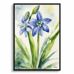 Scilla Bifolia Watercolour Botanical Art Print - Alpine Squill Framed Plant Wall Art