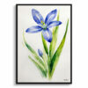 Scilla Bifolia Minimalist Watercolour Botanical Art Print - Alpine Squill Framed Plant Wall Art 1 watercolour botanical print flowers scilla bifolia minimalist front view