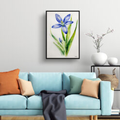 Scilla Bifolia Minimalist Watercolour Botanical Art Print - Alpine Squill Framed Plant Wall Art 7 watercolour botanical print flowers scilla bifolia minimalist living room