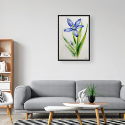 Scilla Bifolia Minimalist Watercolour Botanical Art Print - Alpine Squill Framed Plant Wall Art 8 watercolour botanical print flowers scilla bifolia minimalist office