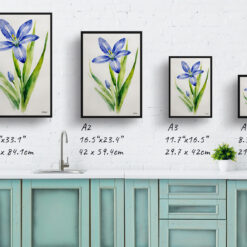 Scilla Bifolia Minimalist Watercolour Botanical Art Print - Alpine Squill Framed Plant Wall Art 9 watercolour botanical print flowers scilla bifolia minimalist print size comparison