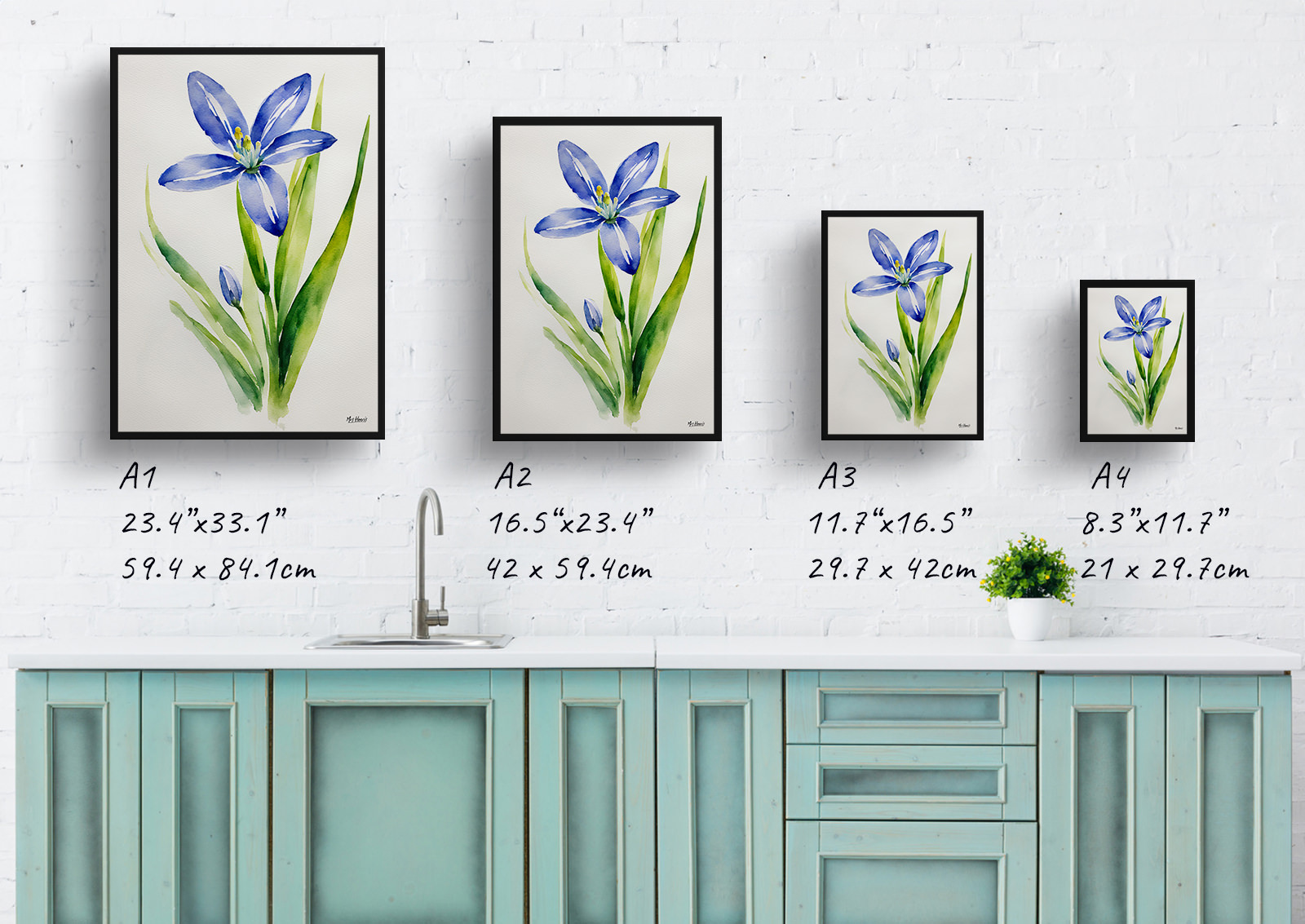 Scilla Bifolia Minimalist Watercolour Botanical Art Print - Alpine Squill Framed Plant Wall Art 6 Scilla Bifolia Minimalist Watercolour Botanical Art Print - Alpine Squill Framed Plant Wall Art - Image 4