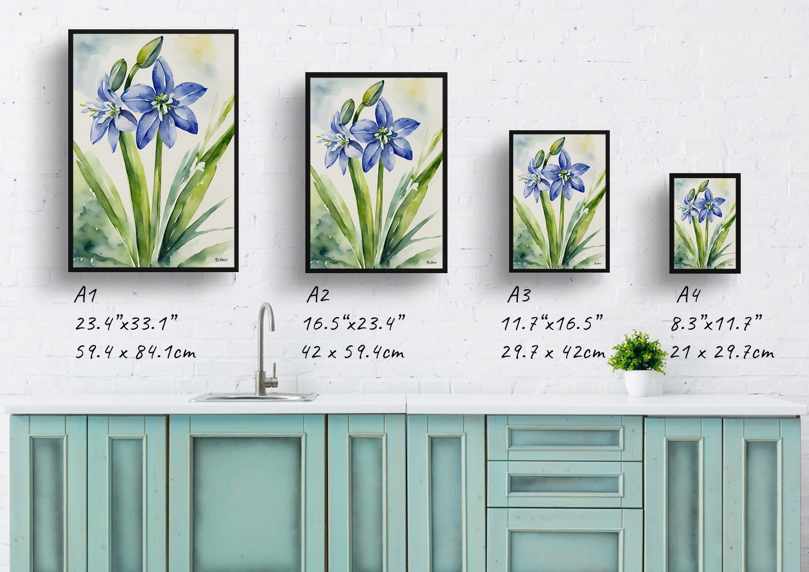 Scilla Bifolia Watercolour Botanical Art Print - Alpine Squill Framed Plant Wall Art 6 Scilla Bifolia Watercolour Botanical Art Print - Alpine Squill Framed Plant Wall Art - Image 4