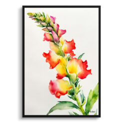 Snapdragon Minimalist Watercolour Botanical Art Print - Dragon flower Framed Plant Wall Art