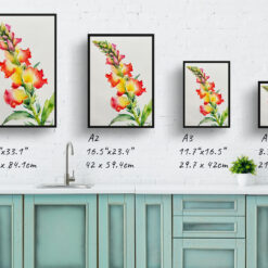 watercolour botanical print flowers snapdragon minimalist print size comparison