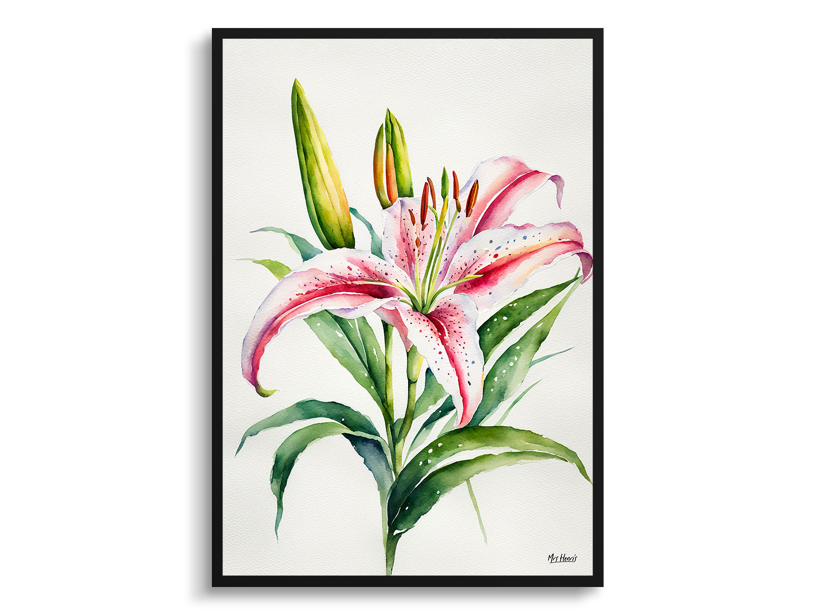 Stargazer lily Minimalist Watercolour Botanical Art Print - Oriental Framed Plant Wall Art 3 Stargazer lily Minimalist Watercolour Botanical Art Print - Oriental Framed Plant Wall Art