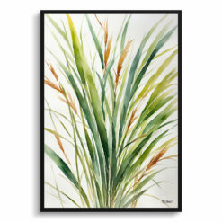 Stipa ichu Minimalist Watercolour Botanical Art Print - peruvian feather grass Framed Plant Wall Art