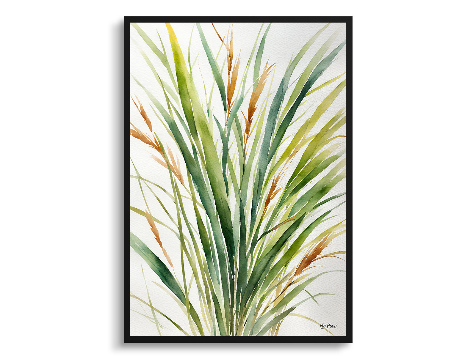 Stipa ichu Minimalist Watercolour Botanical Art Print - peruvian feather grass Framed Plant Wall Art 3 Stipa ichu Minimalist Watercolour Botanical Art Print - peruvian feather grass Framed Plant Wall Art
