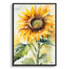 Sunflower Watercolour Botanical Art Print - Helianthus Framed Plant Wall Art 2 watercolour botanical print flowers sunflower front view