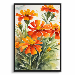 Tagetes Cinnabar Watercolour Botanical Art Print -  African Marigold Framed Plant Wall Art