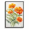 Tagetes Cinnabar Minimalist Watercolour Botanical Art Print - African Marigold Framed Plant Wall Art 1 watercolour botanical print flowers tagetes cinnabar minimalist front view