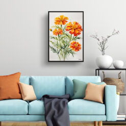 Tagetes Cinnabar Minimalist Watercolour Botanical Art Print - African Marigold Framed Plant Wall Art 7 watercolour botanical print flowers tagetes cinnabar minimalist living room