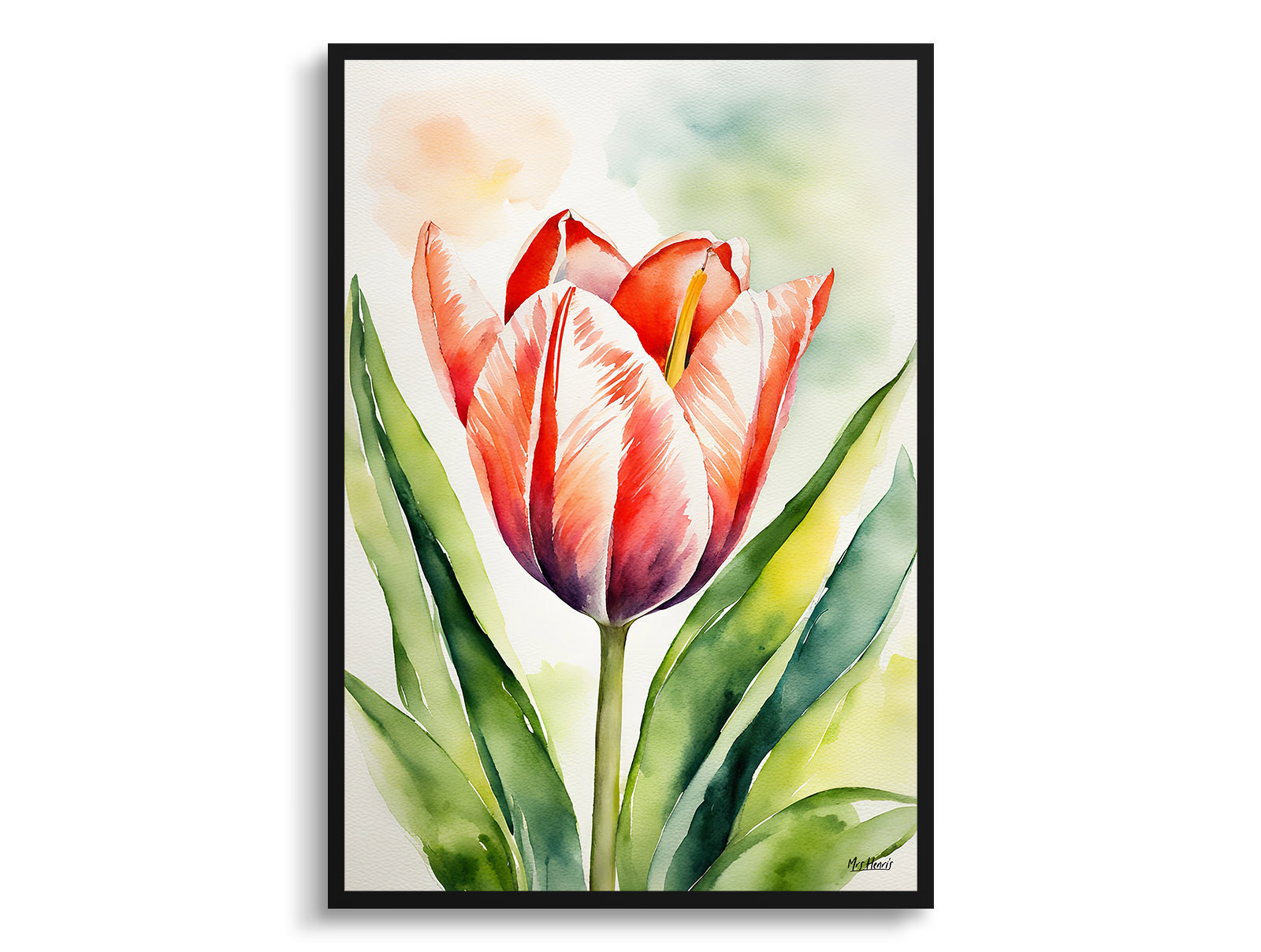 Tulipa Salmon Impression Watercolour Botanical Art Print - Tulip Framed Plant Wall Art 3 Tulipa Salmon Impression Watercolour Botanical Art Print - Tulip Framed Plant Wall Art