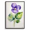Violet Minimalist Watercolour Botanical Art Print - Wood Framed Plant Wall Art 1 watercolour botanical print flowers violet minimalist front view