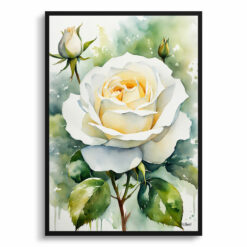 White rose Watercolour Botanical Art Print - Alba Framed Plant Wall Art