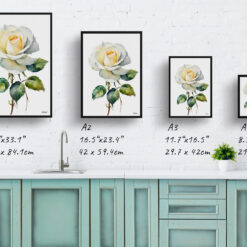 White rose Minimalist Watercolour Botanical Art Print - Alba Framed Plant Wall Art 9 watercolour botanical print flowers white rose minimalist print size comparison