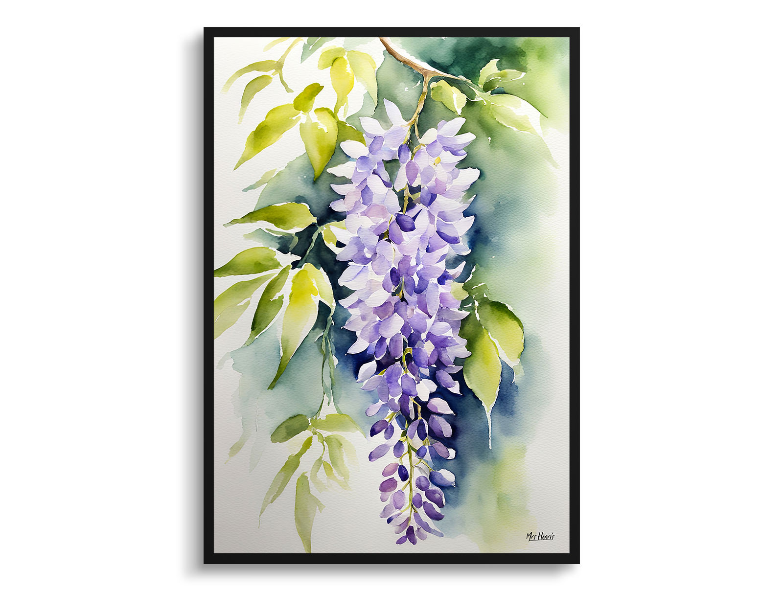 Wisteria x Valderi Watercolour Botanical Art Print - Burford Framed Plant Wall Art 2 Wisteria x Valderi Watercolour Botanical Art Print - Burford Framed Plant Wall Art