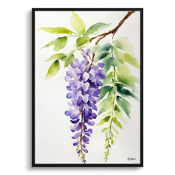 Wisteria x Valderi Minimalist Watercolour Botanical Art Print - Burford Framed Plant Wall Art