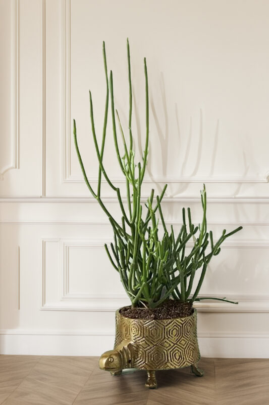 20+ Thoughtful Gifts For Plant Lovers & Gardeners 23 Anthropologie Turtle Planter