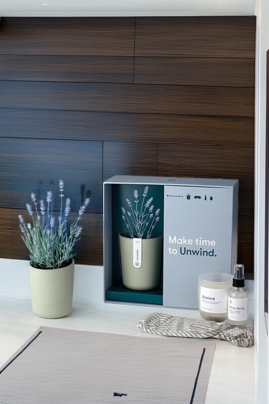 20+ Thoughtful Gifts For Plant Lovers & Gardeners 20 Modern Sprout Unwind Lavender