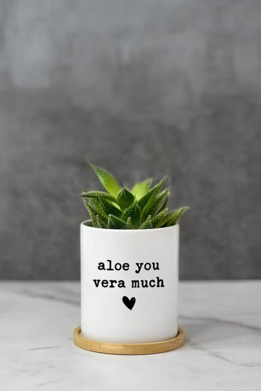 20+ Thoughtful Gifts For Plant Lovers & Gardeners 19 Pineandpineapple Aloe You Vera Much Planter