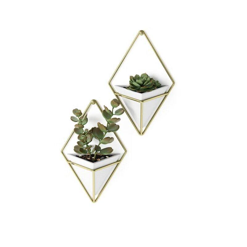 20+ Thoughtful Gifts For Plant Lovers & Gardeners 22 Umbra Trigg Wall Planters 1