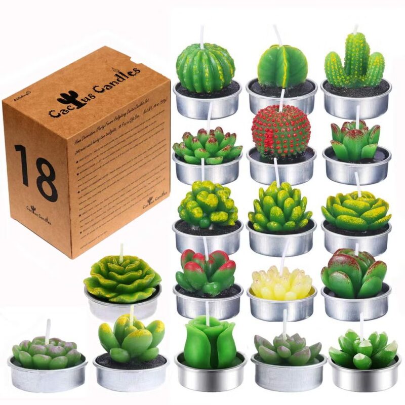 20+ Thoughtful Gifts For Plant Lovers & Gardeners 21 succulent cactus candles
